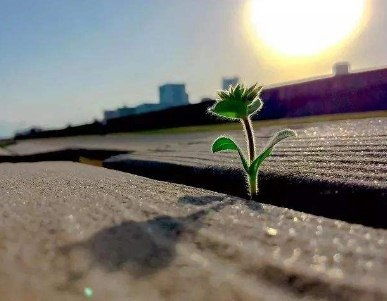 關(guān)于陽(yáng)光正能量短句子十字以內(nèi)