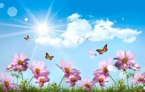 正能量生活美好的句子,開(kāi)心正能量的美好句子,給自己正能量美好句子