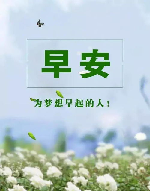 情感正能量的句子心情