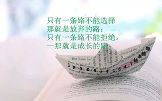 分享正能量的句子