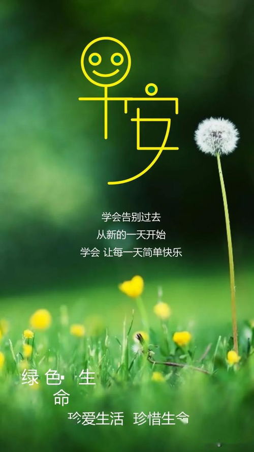 正能量發(fā)朋友圈精致的句子