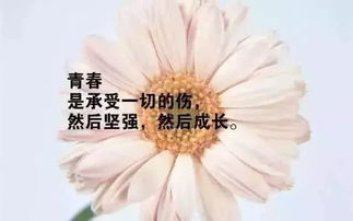 新鮮事,句子,能量,今日