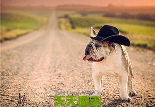 激勵上進(jìn)正能量句子學(xué)生