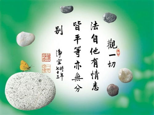 句子,能量,佛系禪語正