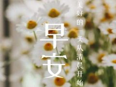 2021正能量的句子早安