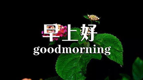 夫妻正能量奮斗的句子,責(zé)任正能量奮斗的句子,勵志正能量工作奮斗的句子