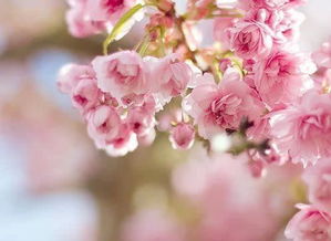 喜歡一個人正能量的句子大全集