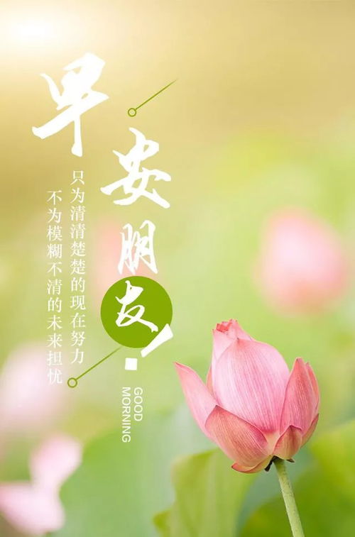 早上好簡(jiǎn)短正能量句子大全