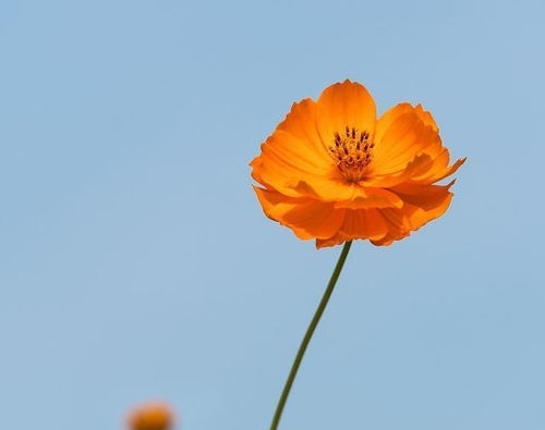 精點(diǎn)正能量的句子