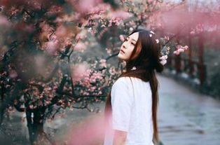 正能量的對偶句子