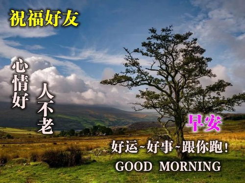 早安,簡短,句子,能量