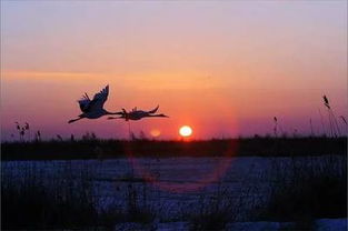 2021正能量句子勵志短句子,2021新年勵志正能量的句子,2021清晨勵志正能量的句子