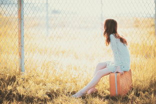 正能量句子勵(lì)志大全,雨天幽默正能量的句子,早上好正能量的句子和大全