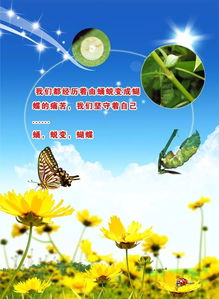 青春句子簡短正能量關(guān)于堅持