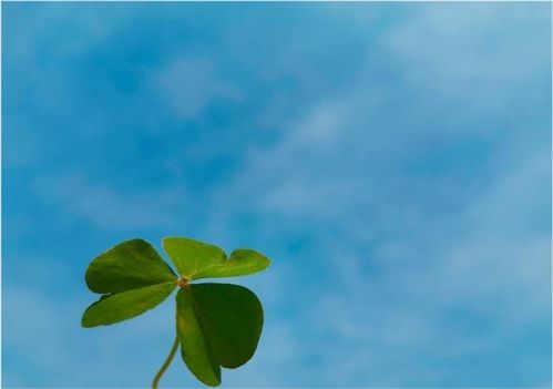 關(guān)于跑步自律的正能量句子,關(guān)于孩子自律的正能量句子,關(guān)于自律的正能量句子簡短