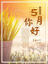 五月開始的句子正能量