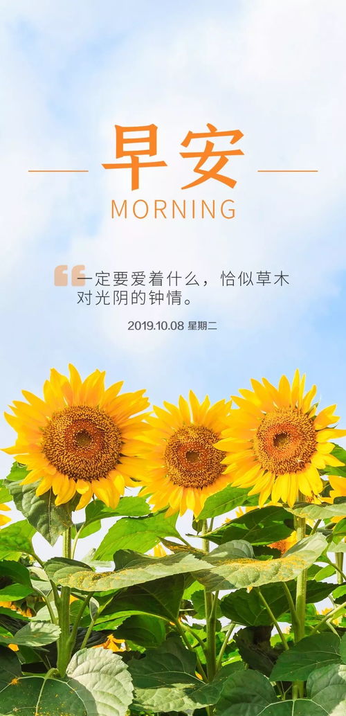 早安,句子,心語(yǔ),能量