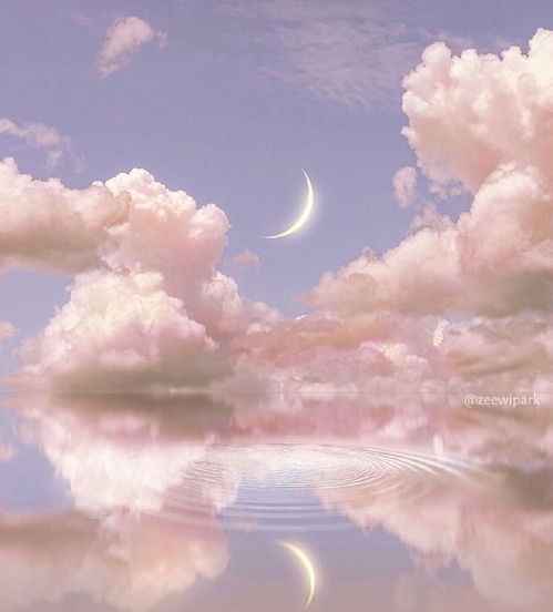 句子,能量,上網(wǎng)