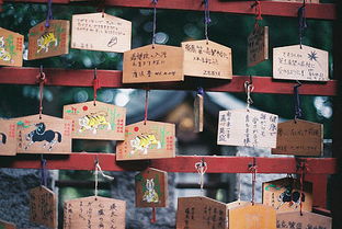 負(fù)能量正能量的句子經(jīng)典語(yǔ)錄