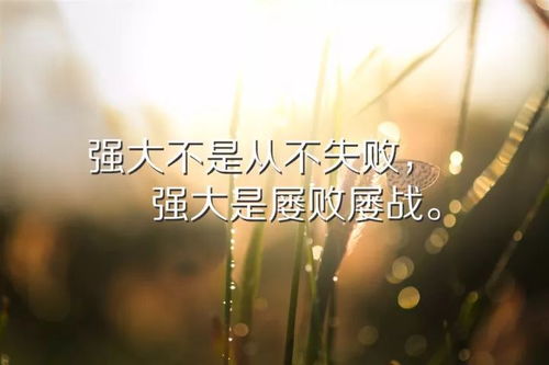 早安正能量心語帶,早安正能量心語加,正能量語錄早安心語帶