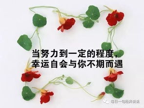 端午節(jié),句子,拼搏,能量