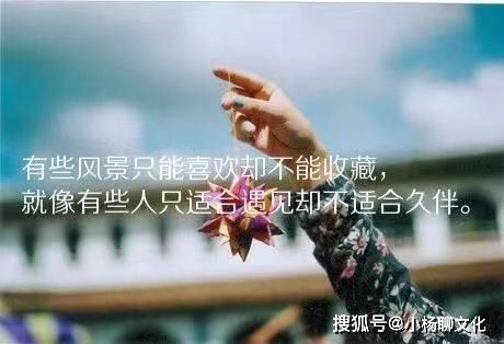 關(guān)于寶媽正能量的句子,觸動寶媽正能量心酸的句子,寶媽正能量簡短的句子