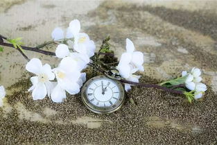 句子,能量,期待,明天