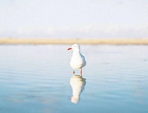 抖音很火的句子勵志致女生,抖音最火的勵志句子簡短,抖音最火的勵志幽默的句子