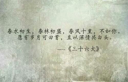 正能量的問文藝句子