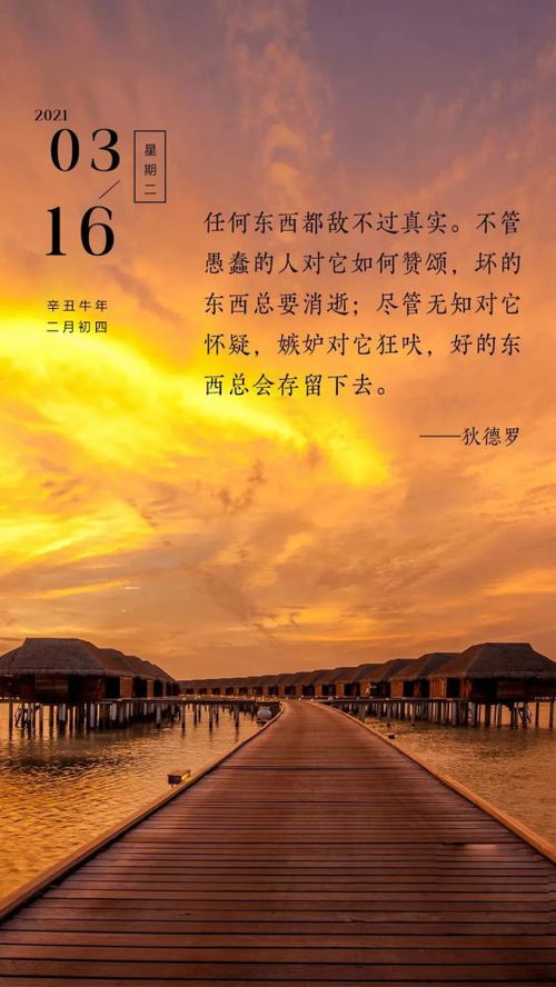 正能量的晨語經(jīng)典句子,晨會陽光正能量的句子,陽光勵志正能量的句子