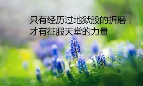發(fā)朋友圈早安的句子正能量,朋友圈早安正能量短句,適合發(fā)朋友圈早安正能量的短句子的