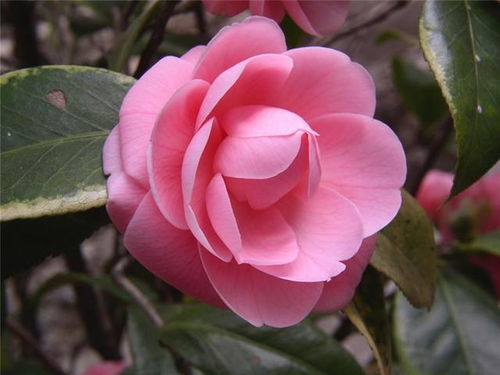 描寫焊工的正能量句子,描寫正能量的優(yōu)美句子,描寫老同志正能量的句子