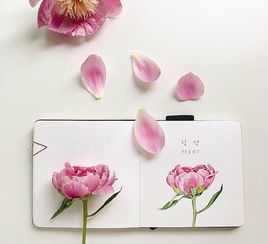 女人正能量發(fā)抖音句子