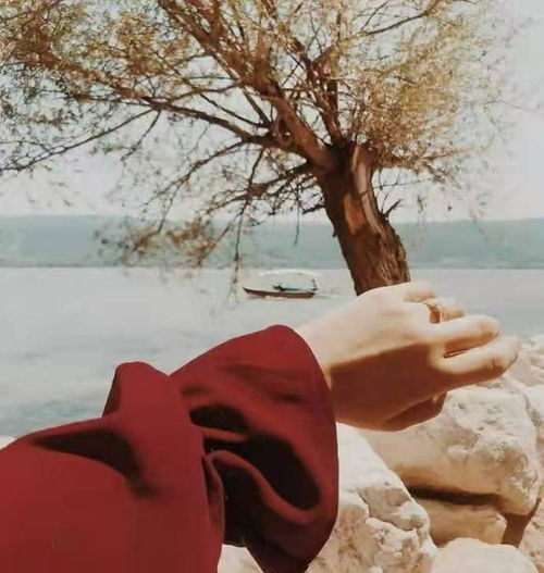 發(fā)朋友圈的句子正能量,早晨的句子發(fā)朋友圈正能量,十二月第一天正能量句子