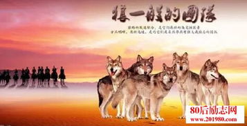 鼓舞團隊的正能量句子6