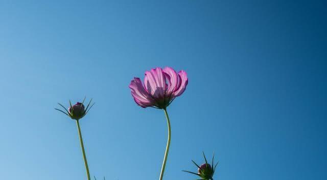 熱血正能量的句子,致青春正能量的句子,青春正能量的句子八個(gè)字