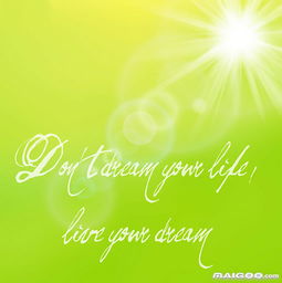 正能量句子有什么意思是什么意思