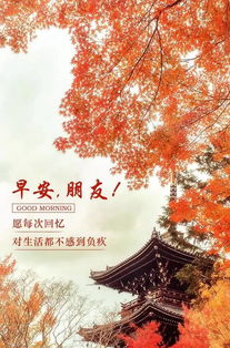 早上發(fā)朋友圈的句子正能量幽默