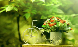 副業(yè)正能量的句子