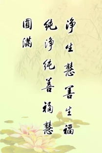 句子,書法,能量,培訓(xùn)