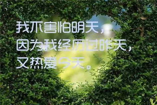 開車時的正能量句子