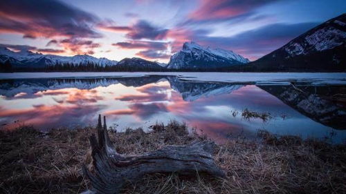 客戶激勵團隊正能量的句子