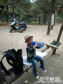 父子愛的正能量句子