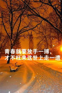 簡單干凈的八個字句子正能量,晚安句子簡單正能量最美,簡單晚安短句子正能量