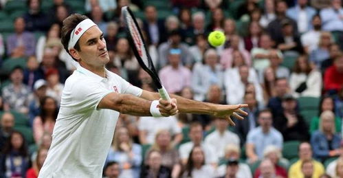 句子,能量,德勒