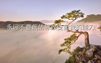 適合發(fā)朋友圈正能量句子2019,適合發(fā)朋友圈正能量句子2020,適合發(fā)朋友圈正能量句子朋友