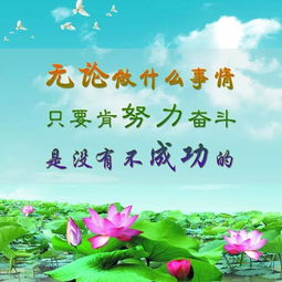 句子,期貨,能量,投資