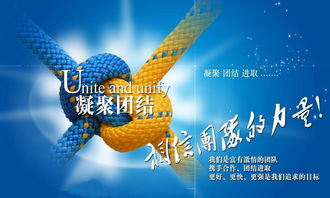 優(yōu)秀團隊正能量的句子,工作團隊團結(jié)正能量句子,激勵團隊團結(jié)正能量的句子