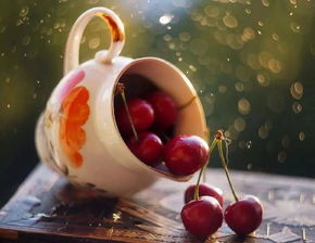 關(guān)于狼性的正能量句子