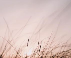 工作到深夜發(fā)朋友圈的句子正能量